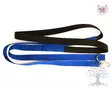 Alac Elastic Long Talutin Blue 25mm, 400cm - Nylon Leashes - 615.7111 - 4