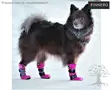 Finnero HALLA Dogs Winter Booties Pink - Dog Slippers - 60121 - 2
