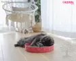 Kerbl Pet Cat Scratch Bed Circle - Scratching Boards - 84441 - 2