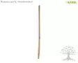 Kerbl Wooden Handle 29581, 130cm - Wood Handles, Aluminium Handles - 29581 - 1