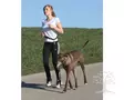 PetitLine Jogging Leash with Hip Belt - Running & Ski Belts - 81181 - 1