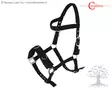 Covalliero Lunging Halter - Cavessons - 328651 - 2