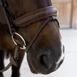 Dyon Dressage Soft Collection Bridle Medium Noseband - Dyon Dressage Soft Collection - SO-10002-01 - 5