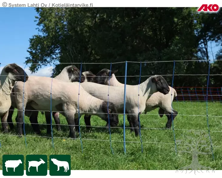 AKO Aitausverkko TitanNet Premium Plus - Aitausverkko Lampaille - 27821 - 3