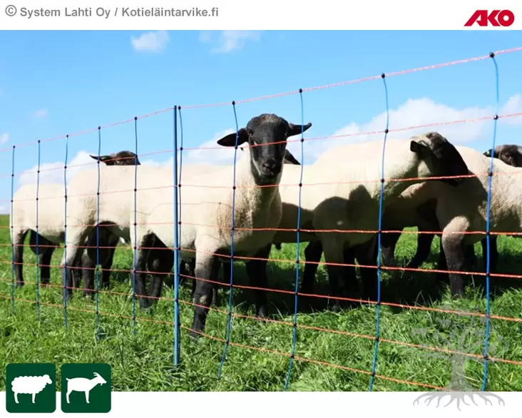 AKO Aitausverkko TitanNet Premium - Aitausverkko Lampaille - 27811 - 1