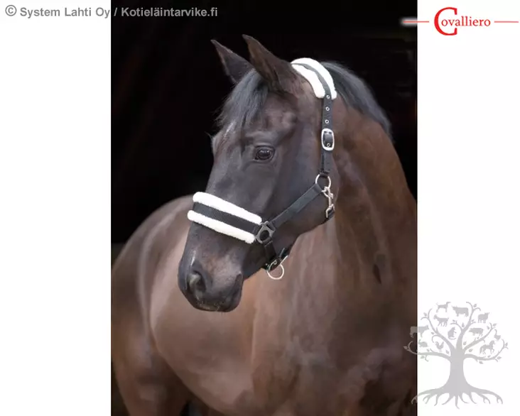 Covalliero Halter Exchange Faux Fur Black - Nylon Halters - 328261 - 1