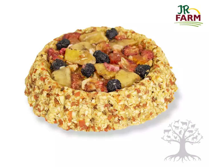 JR Farm Hedelmäkakku 80g - Herkut, Yrtit, Proteiinit - 515.0141 - 1