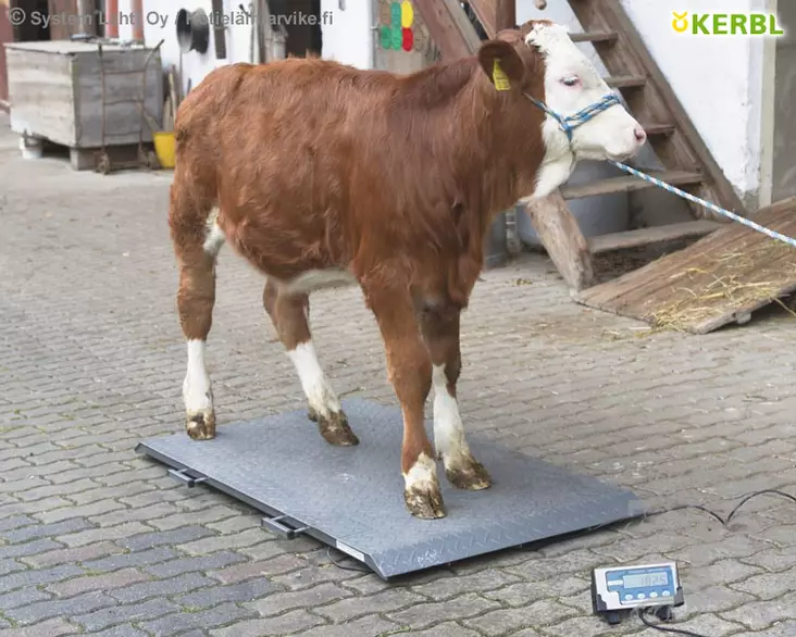 Kerbl Animal Scales PS2000 max. 1000kg - Animal Scales - 291311 - 1