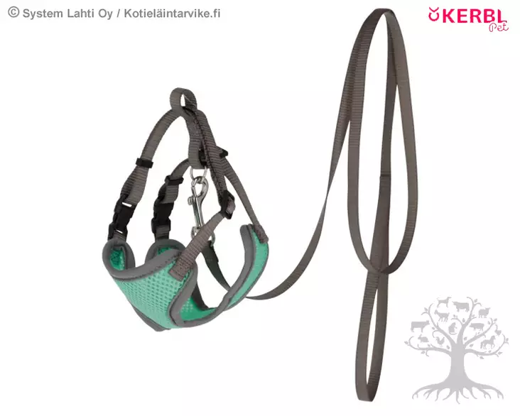 Kerbl Pet Cat Harness and Leash Turquoise - Cat Harnesses - 80691 - 1