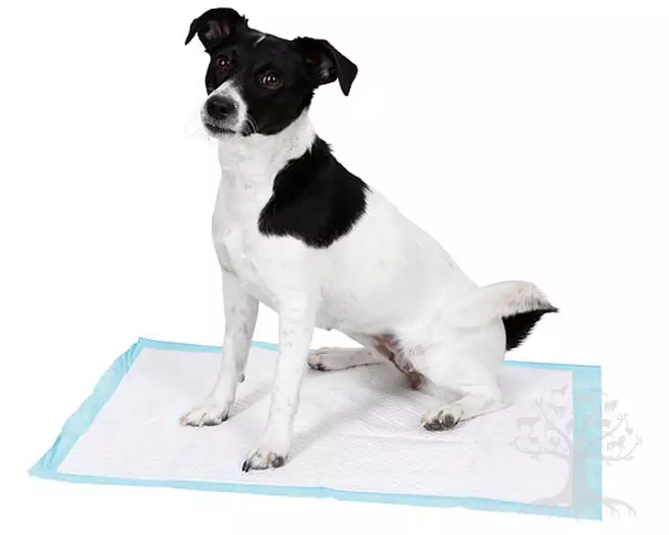 Kerbl Pet Training pad 60 x 45cm - Puppy Care & Training - 81991 - 1
