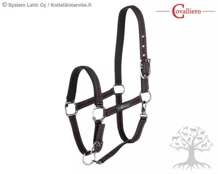 Covalliero Halter Royal Black - Nylon Halters - 3228171 - 1