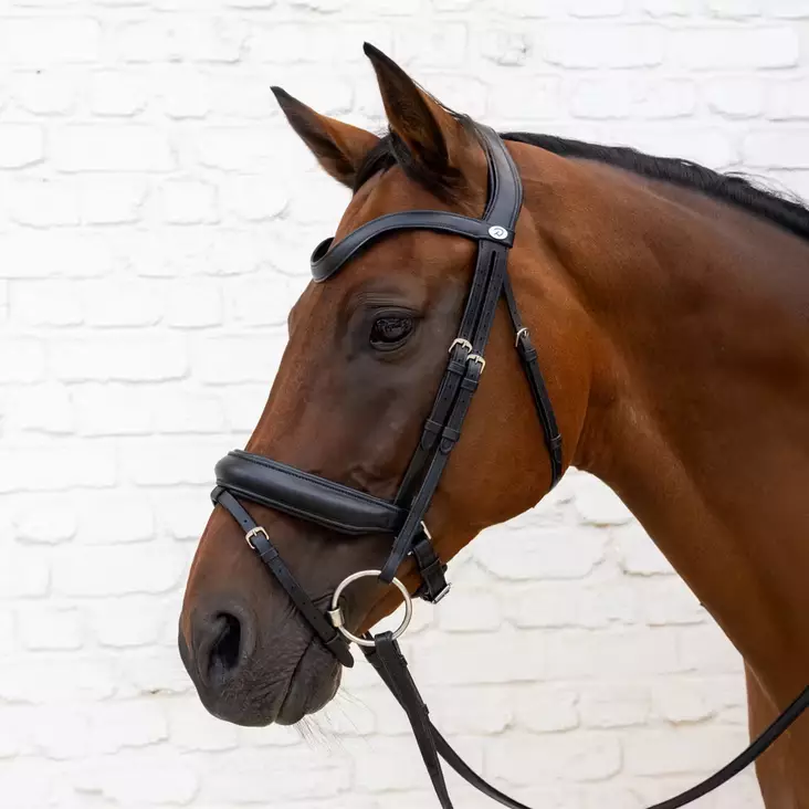 Dyon Dressage Soft Collection Bridle Medium Noseband - Dyon Dressage Soft Collection - SO-10002-01 - 1
