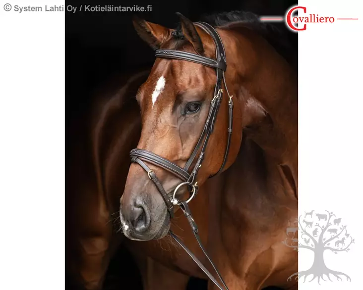 Covalliero Bridle Classic Brown - Bridles - 324911 - 1