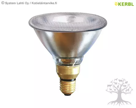 Kerbl Lämpölamppu, kirkas - Lämpölamput, suojakuvut - 22242 - 1