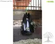 Kerbl Heinäpussi HayBag Plastic - Heinäverkot, Heinäpussit - 326102 - 4