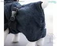 Kerbl Pet Bathrobe - Other Care Products - 80692 - 5