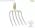 Kerbl Litter Fork 5-tines, 31x24cm - Forks - 50102 - 1