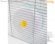 Kerbl Pet Jyrsijän Juoksupyörä 20 cm - Juoksupyörät - 81762 - 3