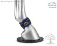 Veredus Magnetik Pro Pastern Wraps - Veredus Magnetik Line - 21020182 - 3