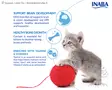 INABA Kissanherkku Churu Puree Kitten Kana - Herkut - 798.5342 - 2