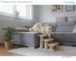 Kerbl Pet Animal Stairs Easy Climb 2.0 - Pet Steps - 80922 - 2