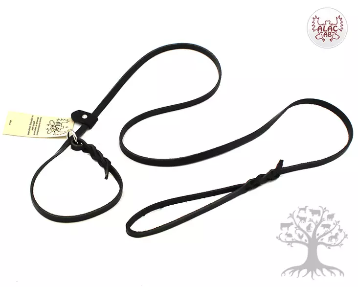 Alac Nahkainen Näyttelytalutin Black 10mm, 180cm - Nahkataluttimet - 602.1342 - 4