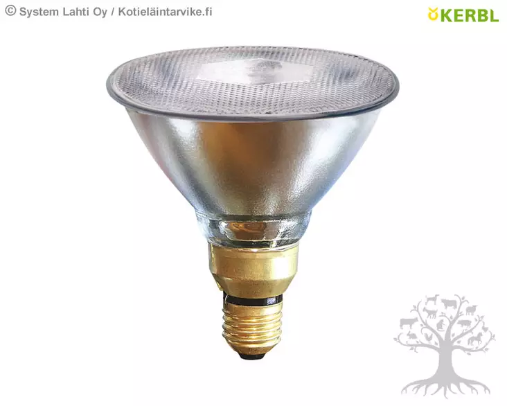 Kerbl Lämpölamppu, kirkas - Lämpölamput, suojakuvut - 22242 - 1