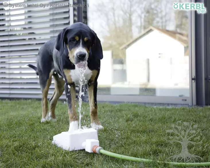 Kerbl Pet Water Fountain Bubble - Dog Cooling Supplies - 80542 - 1