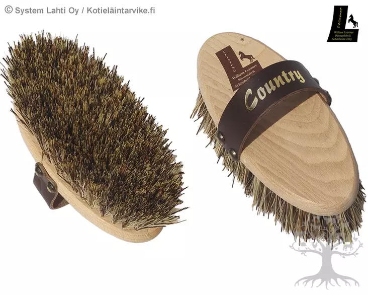 William Leistner Country 3d62 - WILLIAM LEISTNER Brushes - WL3d62 - 3