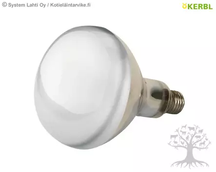 Kerbl Lämpölamppu, kirkas - Lämpölamput, suojakuvut - 22243 - 1