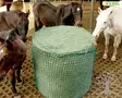 Kerbl Heinäverkko Pyöröpaalille Hay Net for Round Bales - Heinäverkot, Heinäpussit - 321603 - 3