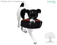 Kerbl Pet Snack Dummy Reflective - Training Toys - 80773 - 3