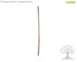 Kerbl Puuvarsi, 130cm Ø40mm - Puuvarret, varret - 29583 - 2