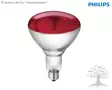 Philips Infrared Lamp, Red - Heating Lamps - 22313 - 1