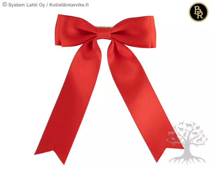 BR Kick Tie Ribbon - Braiding & Rubber Bands  - 741913 - 1