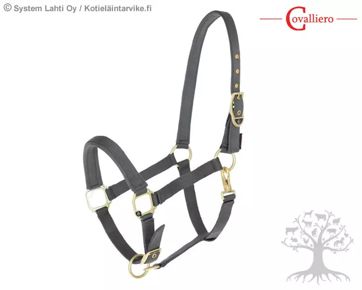 Covalliero Riimu Classy Stone - Nylon Halters - 3224733 - 5