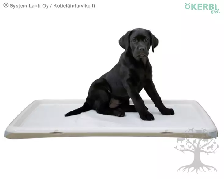 Kerbl Pet Pentualusta Puppy Toilet XL - Pentu- ja Pissa-aluset - 80543 - 1