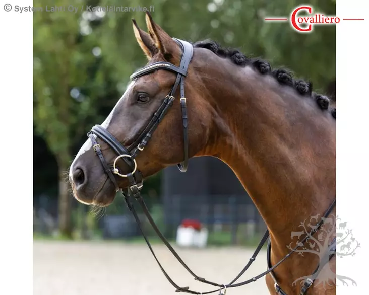Covalliero Bridle Clincher Black - Bridles - 3230193 - 1