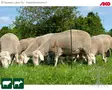 AKO Aitausverkko OviNet - Aitausverkko Lampaille - 27254 - 3
