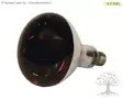 Kerbl Infrared Lamp, Red - Heating Lamps - 22244 - 1