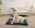 Kerbl Pet Cushion Platin Ortho - Sleeping Pads and Pillows - 80474 - 3