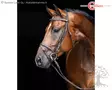 Covalliero Bridle Standard Brown - Bridles - 321714 - 1