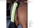 Covalliero Häntäheijastin Reflective Tail Guard - Heijastintuotteet, Turvallisuus - 328514 - 2