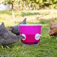 Kerbl Kanojen Ruokinta-automaatti Bucket 12 L - Ruokinta-automaatit - 70204 - 1