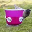 Kerbl Kanojen Ruokinta-automaatti Bucket 12 L - Ruokinta-automaatit - 70204 - 3