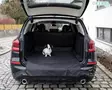 Kerbl Pet Protective Rug for Car Boot Economy - Traveling with Pet - 80574 - 1