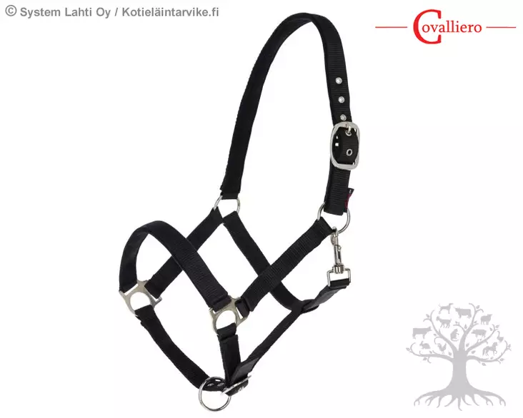 Covalliero Riimu Dexter Black - Nailonriimut - 328654 - 2