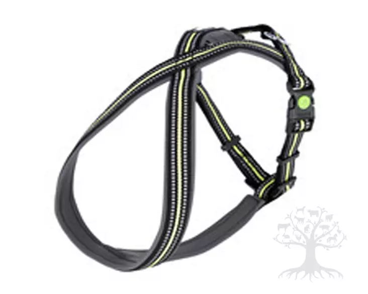 Kerbl Pet Xenos Koiran Y-Valjas - Koiran Y-/ H valjaat - 80234 - 1