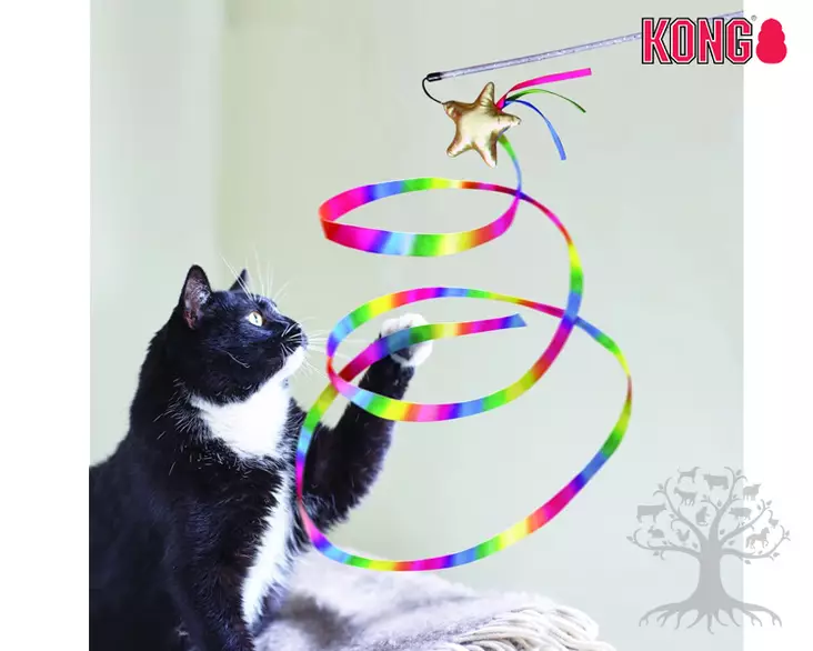 Kong Kissan Onkilelu Stellar Teaser - Teasers & Wand Toys - 788.0084 - 1