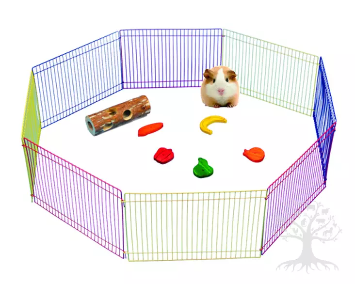 Pawise Leikkiaitaus Jyrsijöille Exercise - Activation - AWI39074 - 1